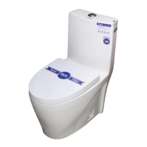 Wedge Shaped Toilet