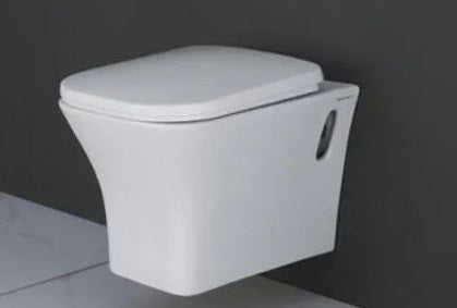 Back to Wall Concealed Toilet