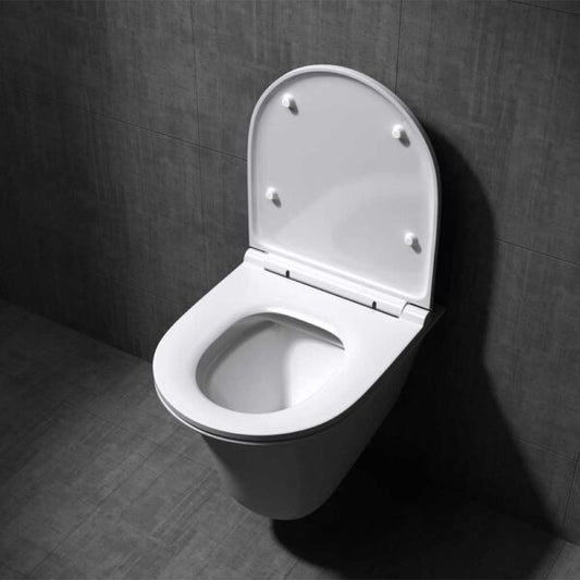 Back to Wall Concealed Toilet